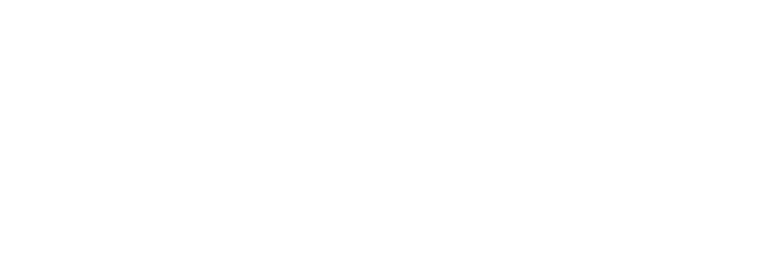 Natura Foundation Logo